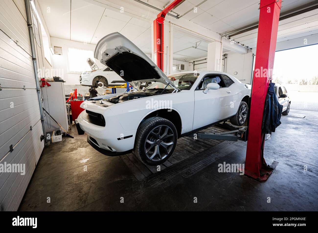 Muscle car with open hood at service repair station in lift Stock Photo ...