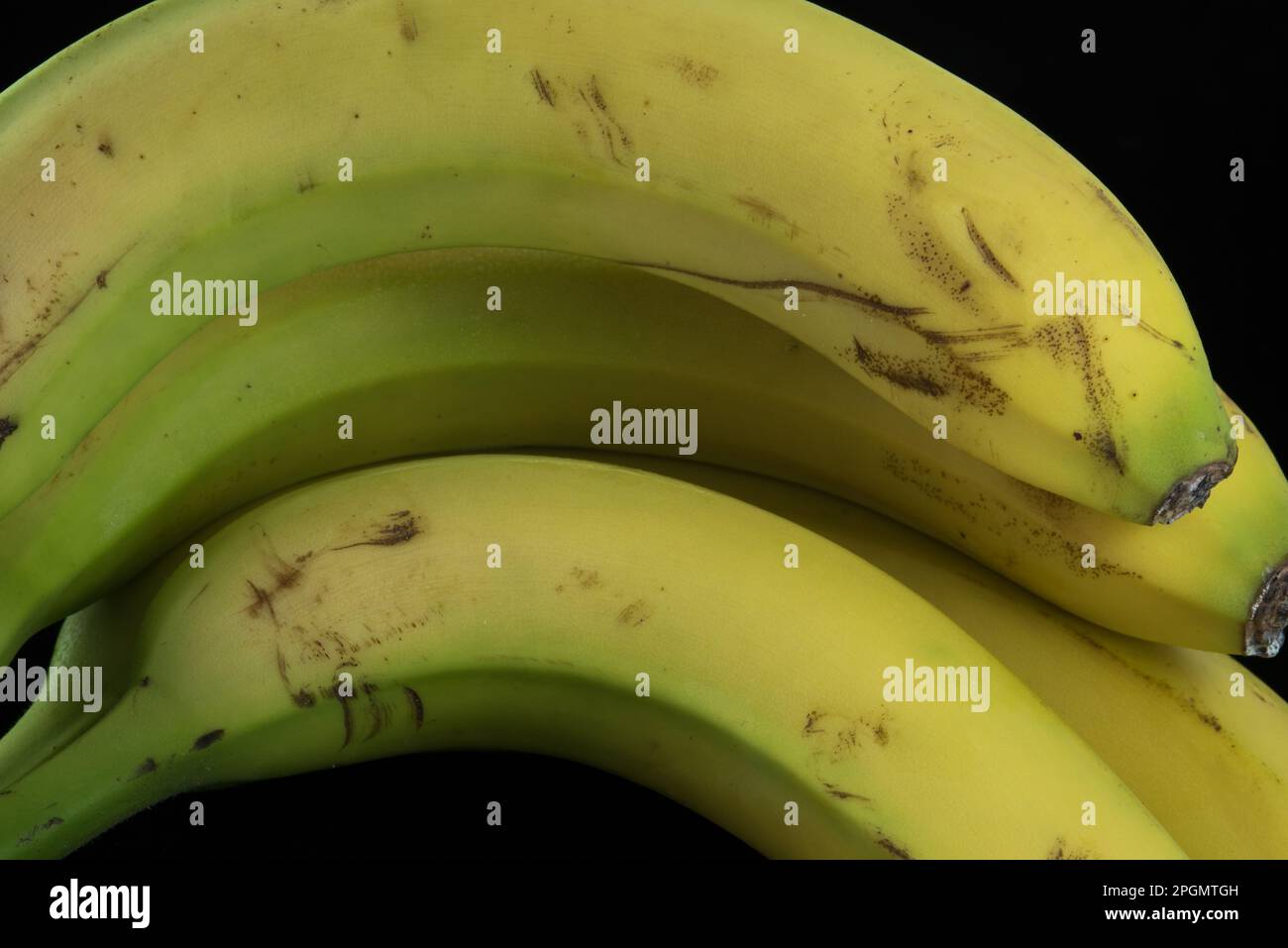 Sfondo in legno macro hi-res stock photography and images - Alamy