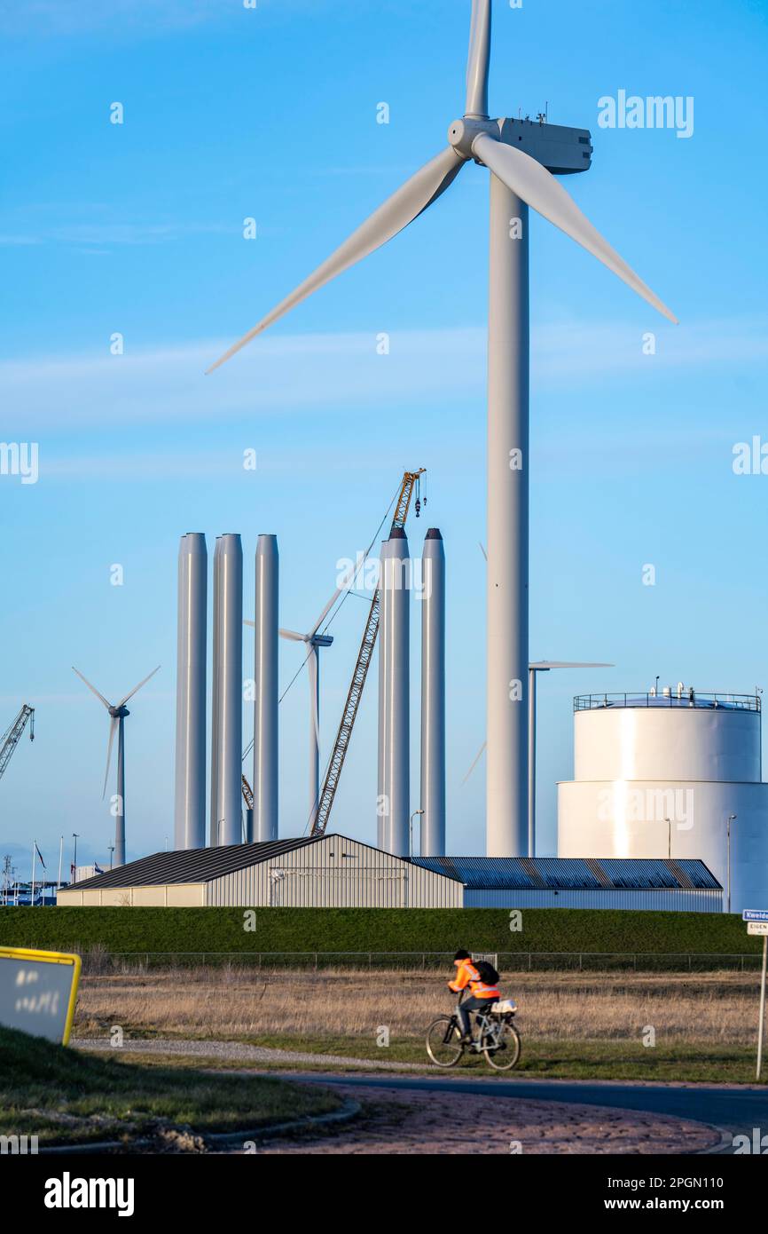 Buss Terminal Eemshaven, logistics hub for the offshore wind farm industry, from here new wind farms in the North Sea are supplied with equipment, mon Stock Photo