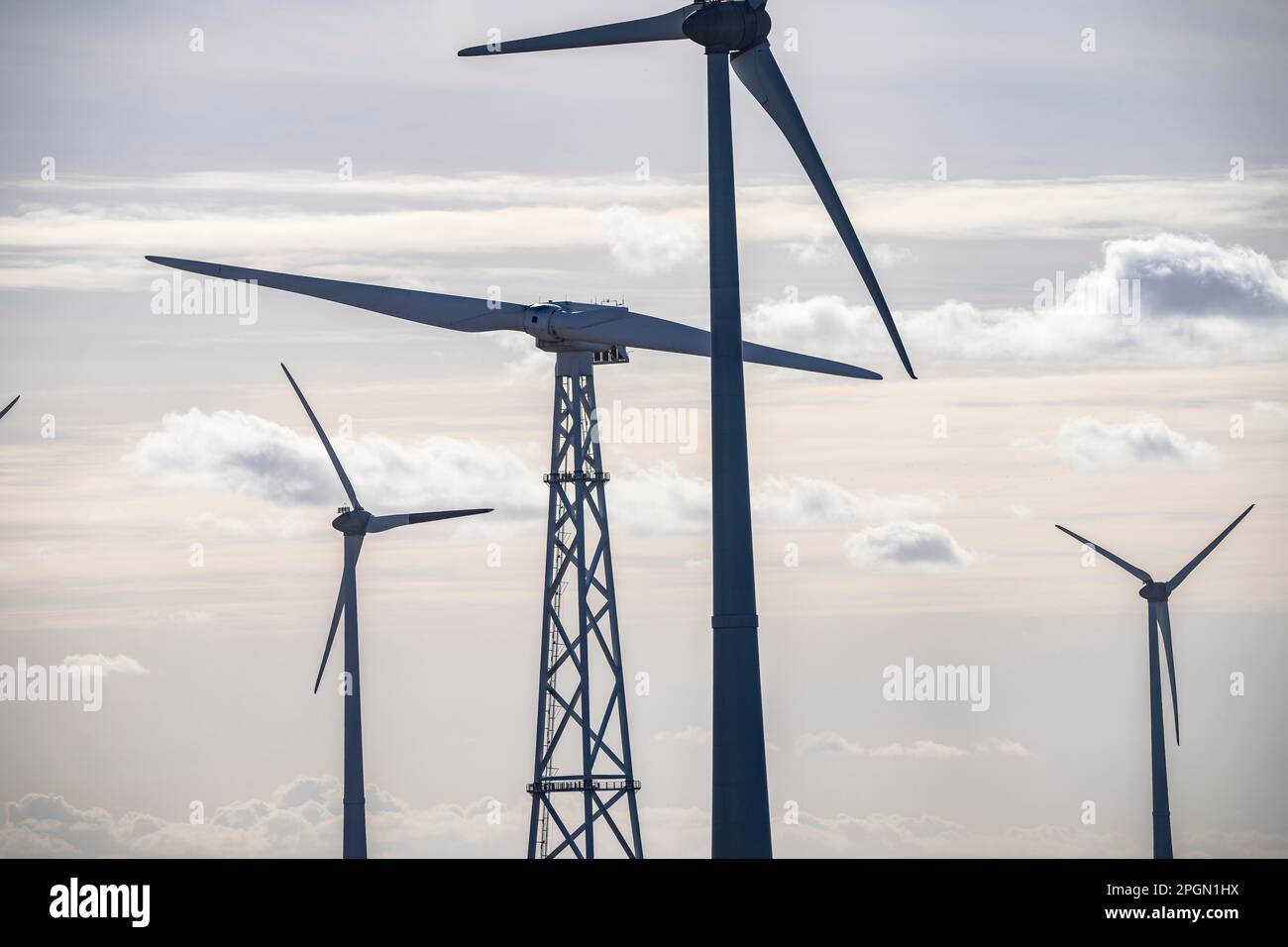 Two-blade rotor, wind turbine with two rotor blades from 2-B Energy in the industrial harbour of Eemshaven, wind turbine, wind power plant Stock Photo