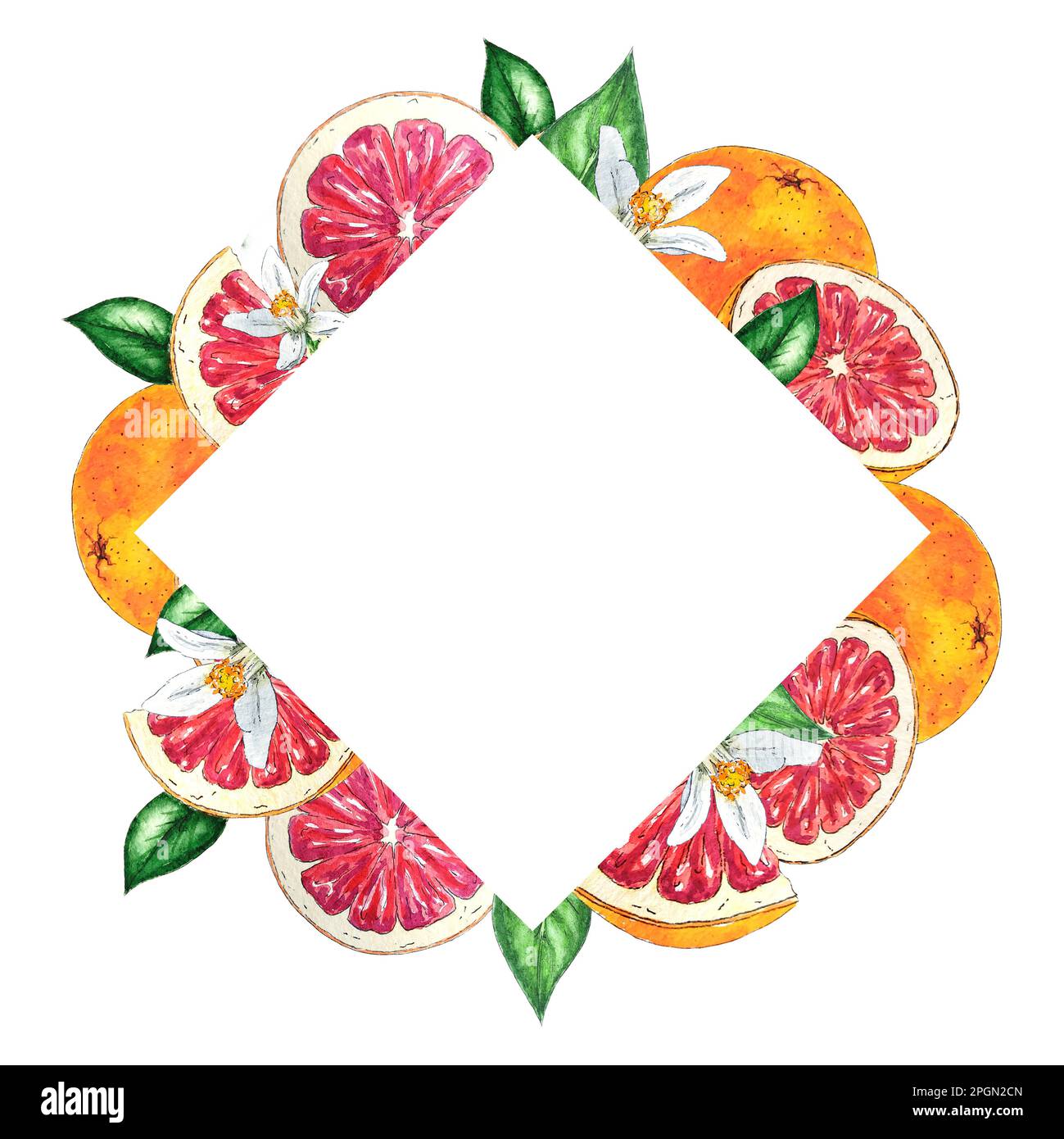 Watercolor frame of red oranges, flowers and leaves hand-painted in botanical style, for use in holiday, wedding and food design. tropical fruit Stock Photo