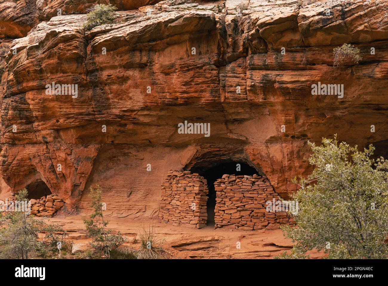 Well preserved cliff dwellings at famous Subway Cave in Boynton Canyon Stock Photo Alamy