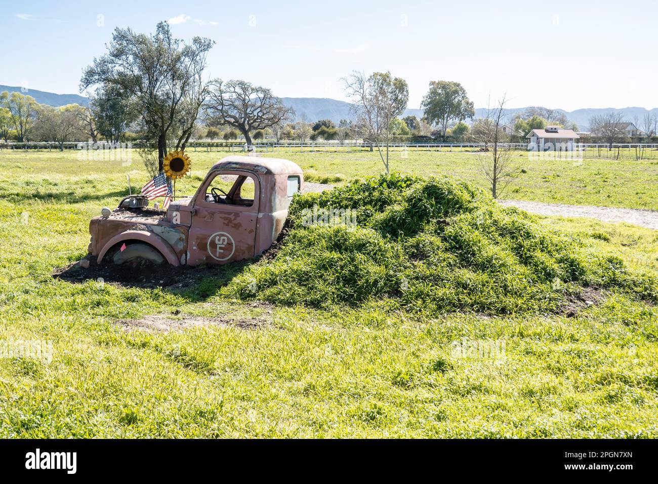 Half buried old rusted pickup truck in a mound of grass on a farm in Los Olivos, California. It could thought of as installation art. Stock Photo