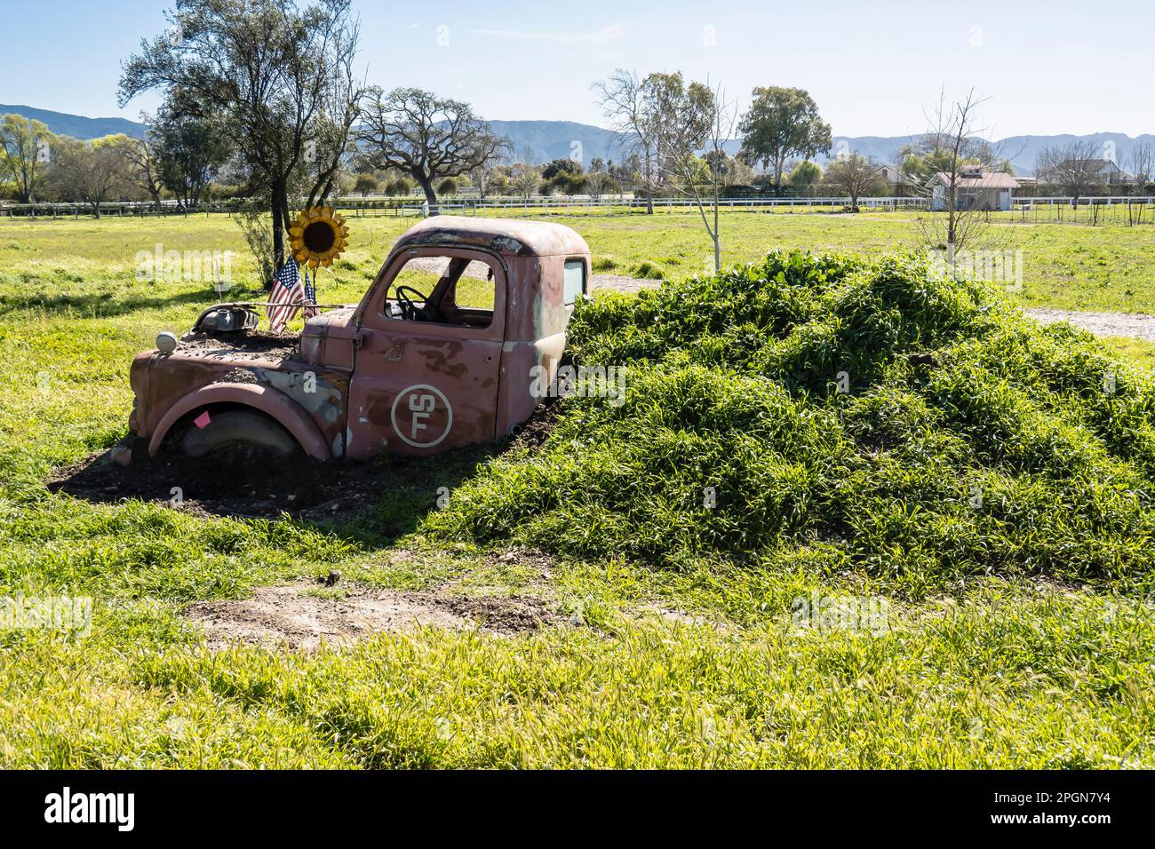 Half buried old rusted pickup truck in a mound of grass on a farm in Los Olivos, California. It could thought of as installation art. Stock Photo