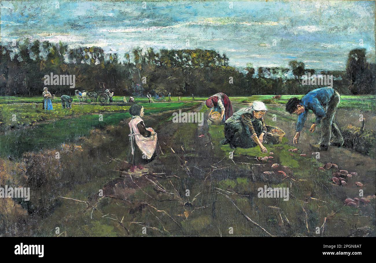 Die kartoffelernte hi-res stock photography and images - Alamy