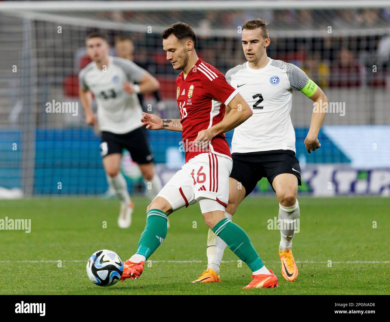 BUDAPEST, HUNGARY - MARCH 6: Claudiu Bumba of Kisvarda Master Good