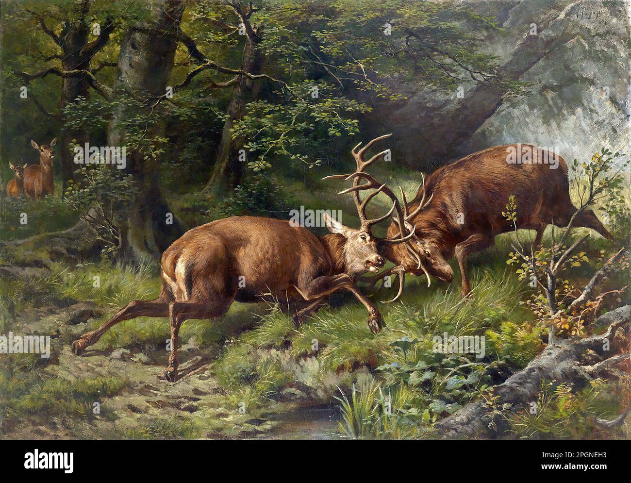 Pausinger Franz Xaver Von Fighting Stag German School 19th and
