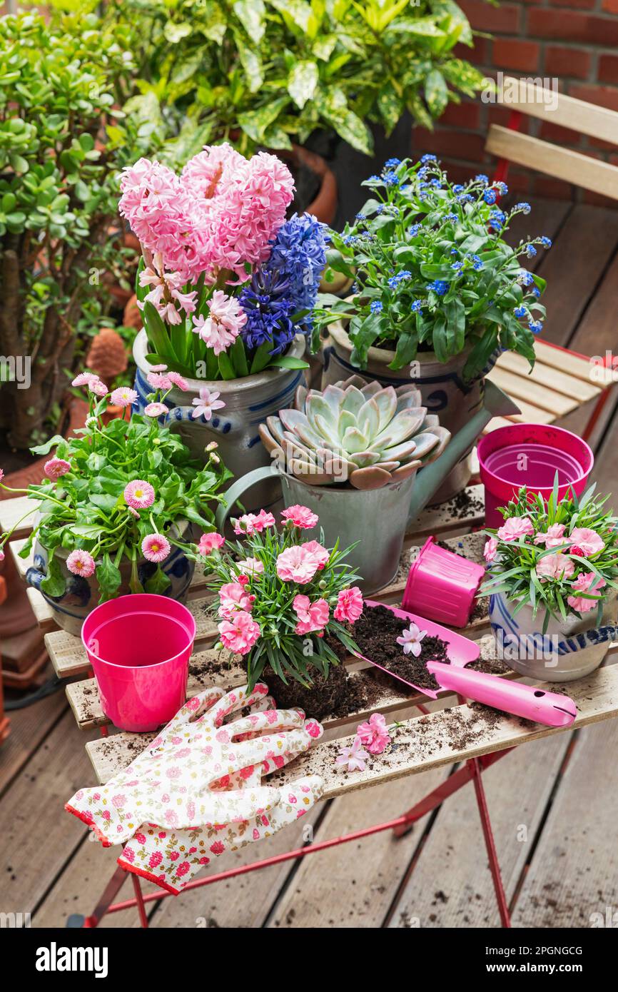 Planting of springtime flowers in balcony garden Stock Photo