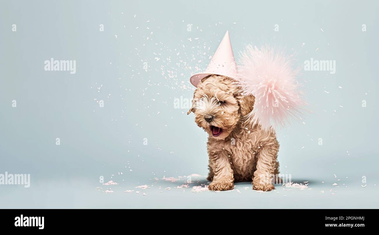 Cute little puppy in a party hat, portrait. Template for postcard, layout with copy space, print ready image. Concept of the holiday Stock Photo