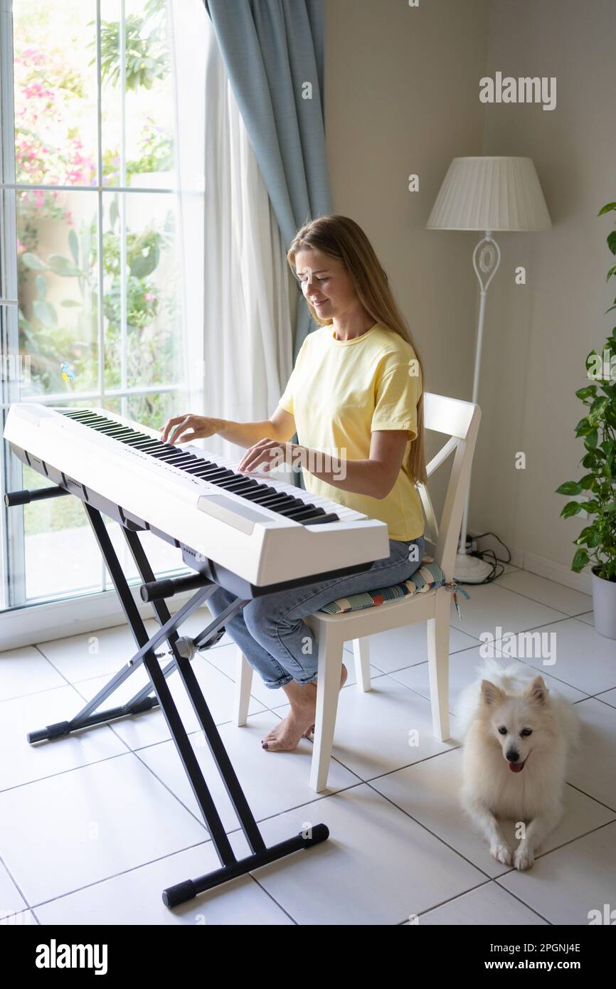 Piano music pets sitting home interior animal themes hires stock