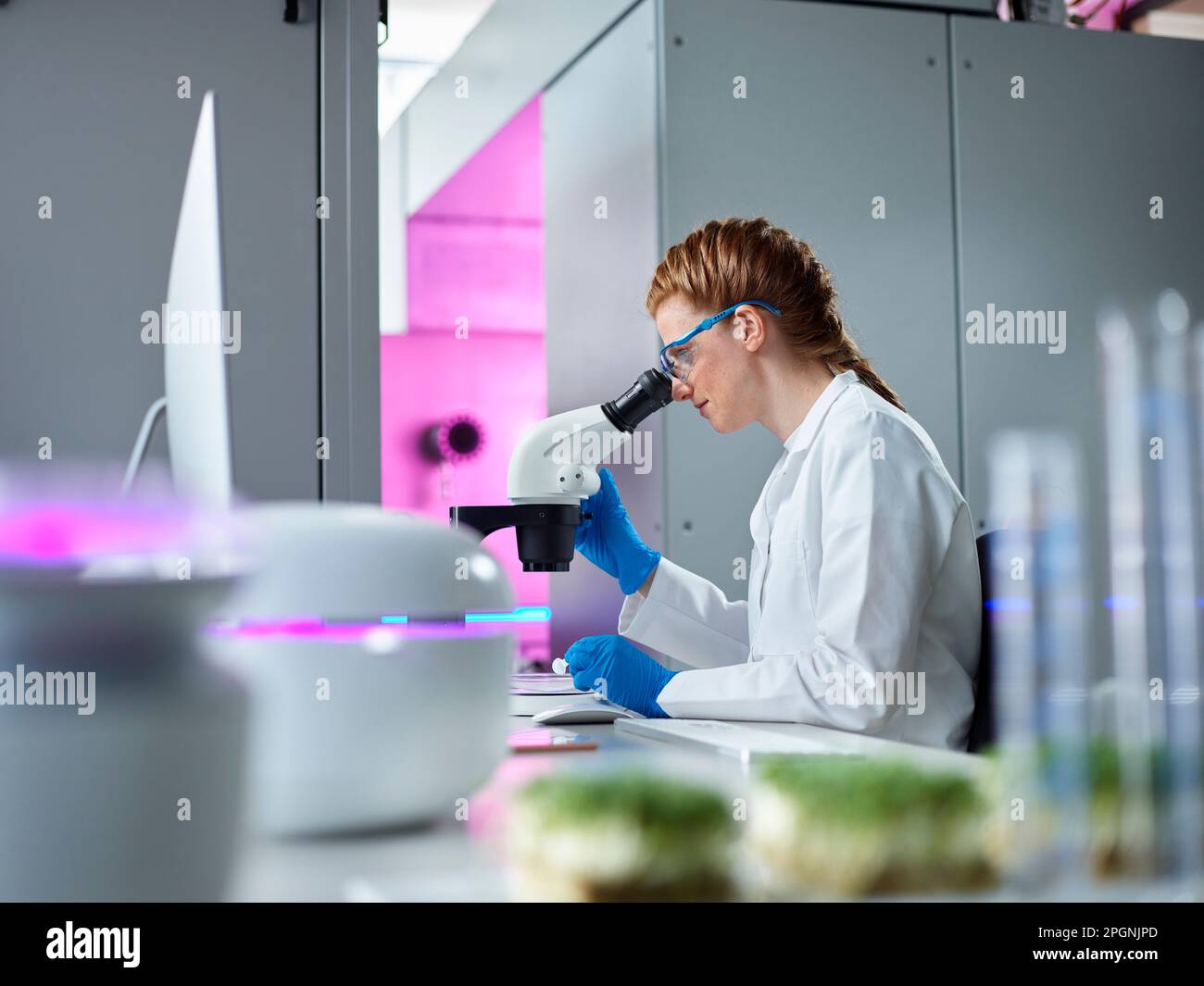 Scientist looking through microscope in laboratory Stock Photo