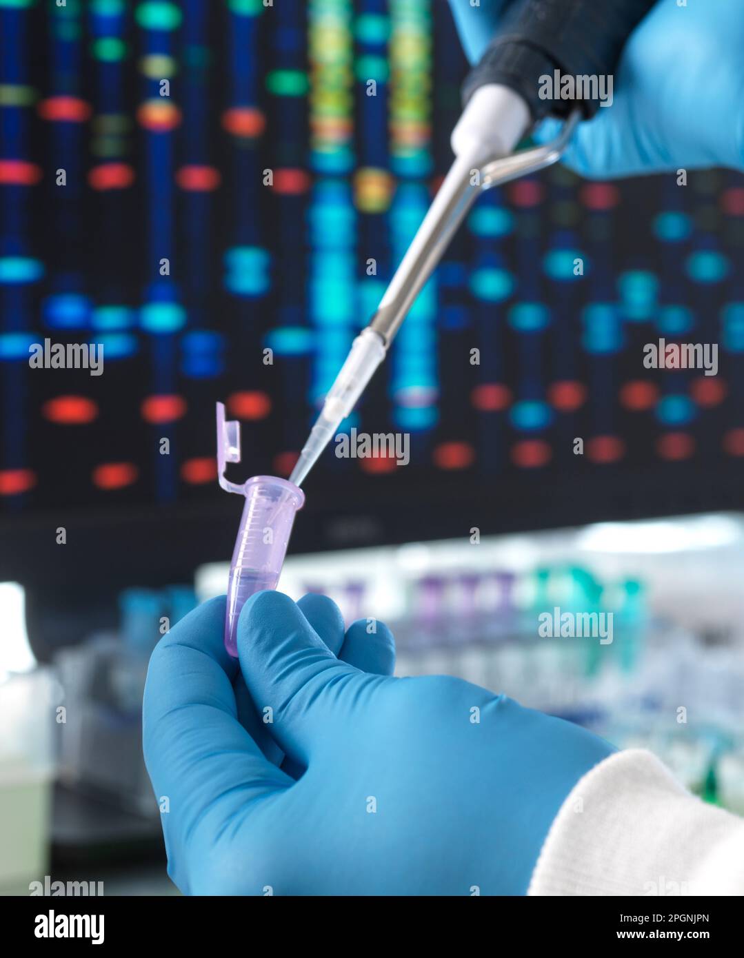 Hands of scientist pouring DNA sample through pipette in test tube ...