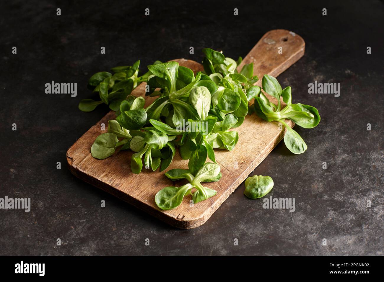 Studio shot of lamb's lettuce on cutting board Stock Photo