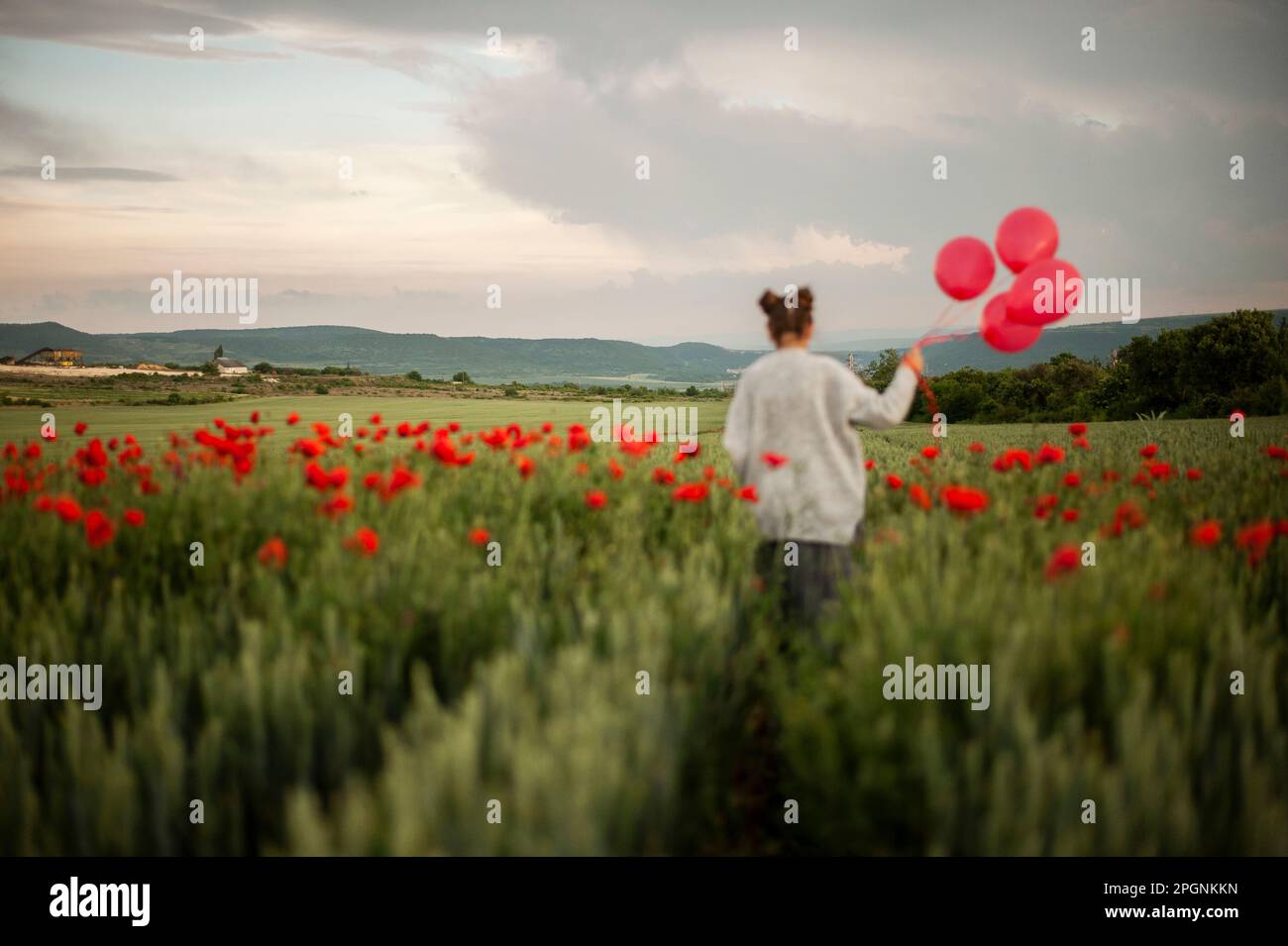 Girl walking with red balloons in poppy field at sunset Stock Photo - Alamy
