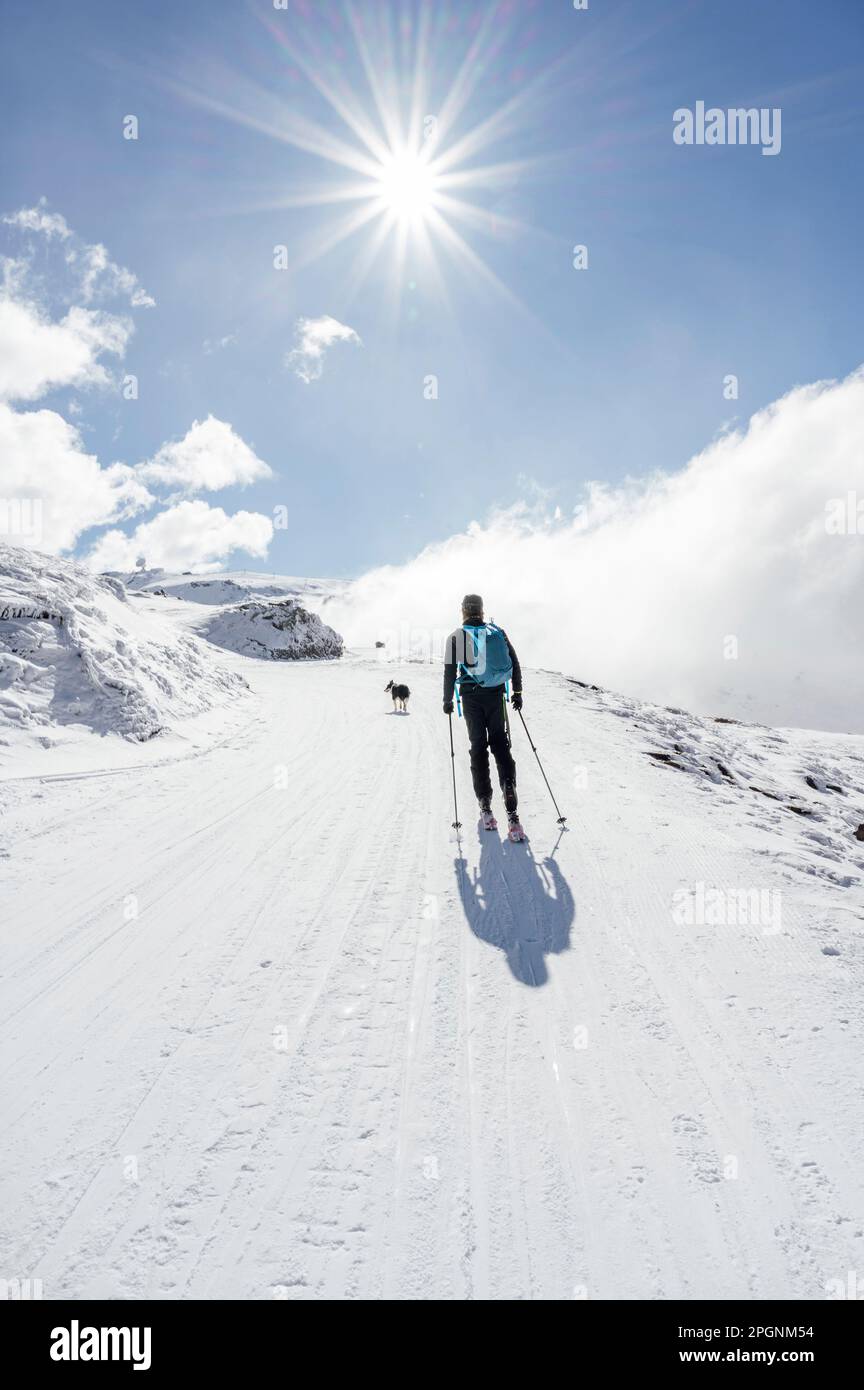 Man walking with dog in winter on sunny day Stock Photo