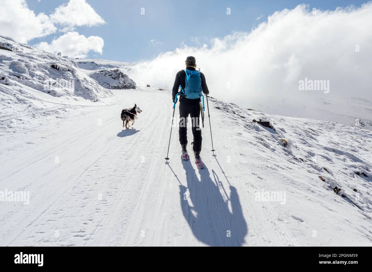 Man walking with dog on snow at sunny day Stock Photo