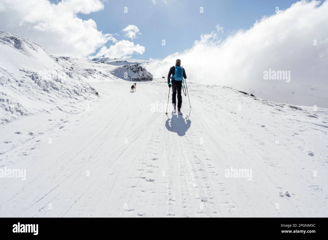 Man walking with backpack and ski poles on sunny day Stock Photo - Alamy