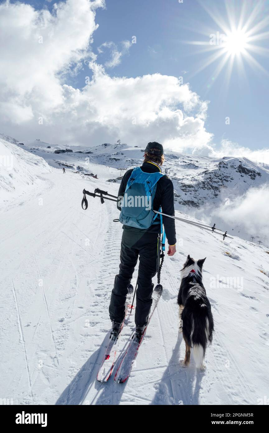 Man standing with dog on sunny day Stock Photo - Alamy