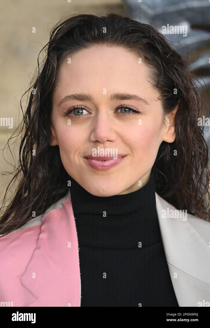 Daisy head 2023 hires stock photography and images Alamy