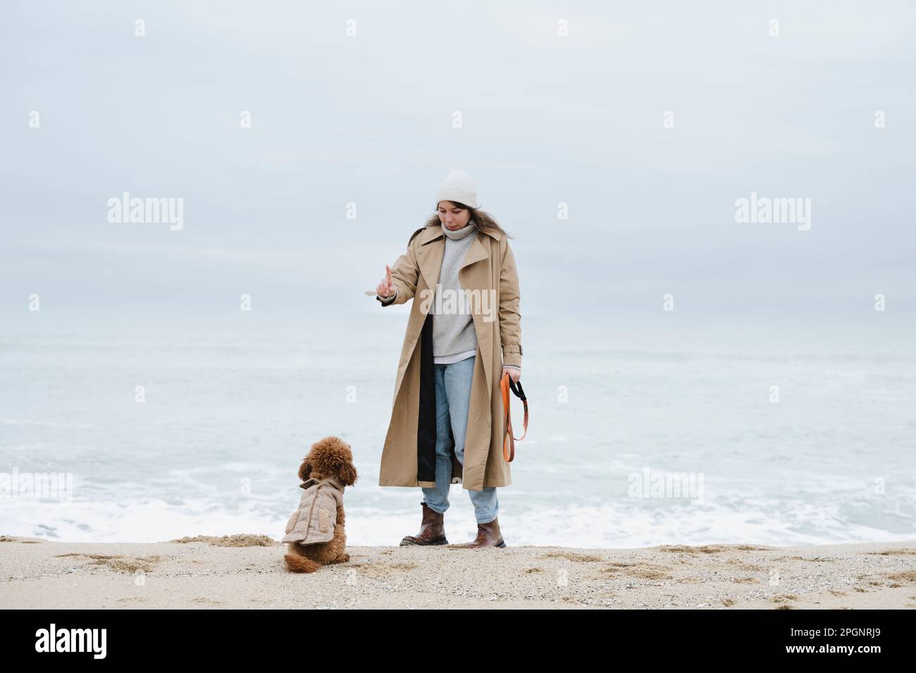 Woman giving obedience training to dog at beach Stock Photo