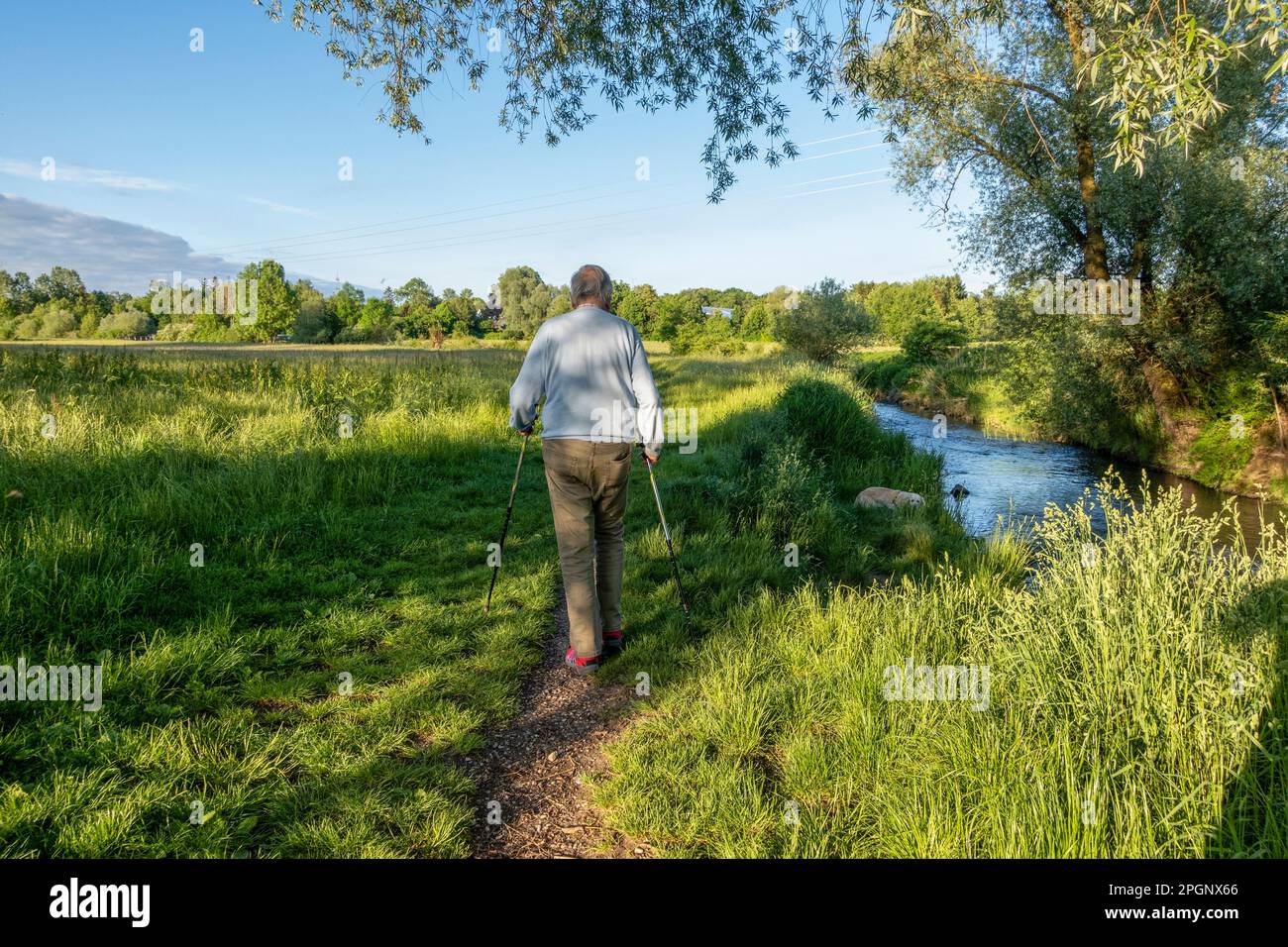 Senior man with canes walking in field Stock Photo
