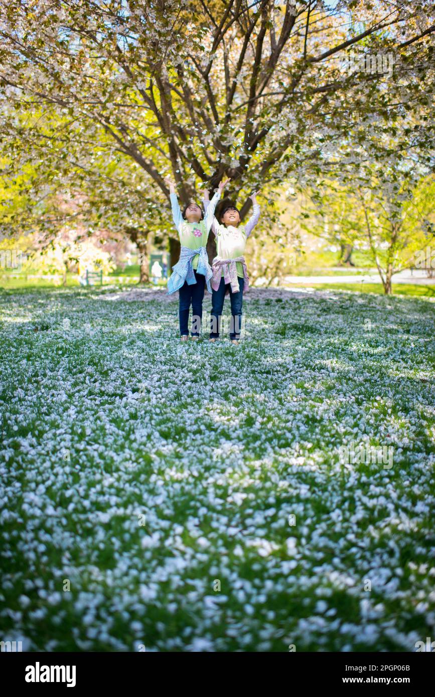 Two young asian girls throwing flower petals in the air Stock Photo Alamy