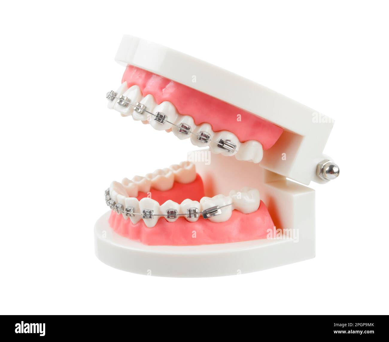 Teeth model with metal wire dental braces or dental instruments