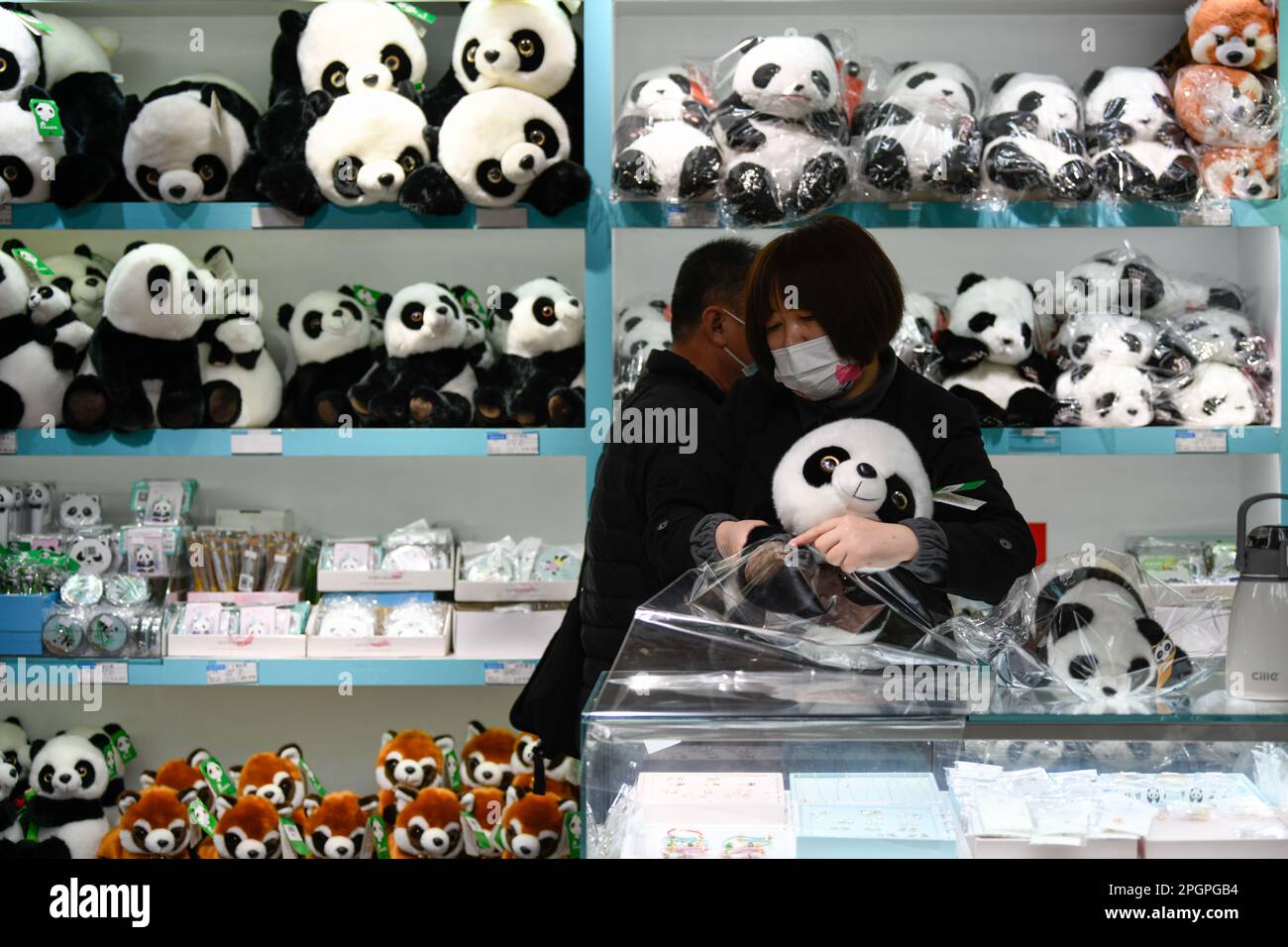 Panda plush toys hi-res stock photography and images - Alamy