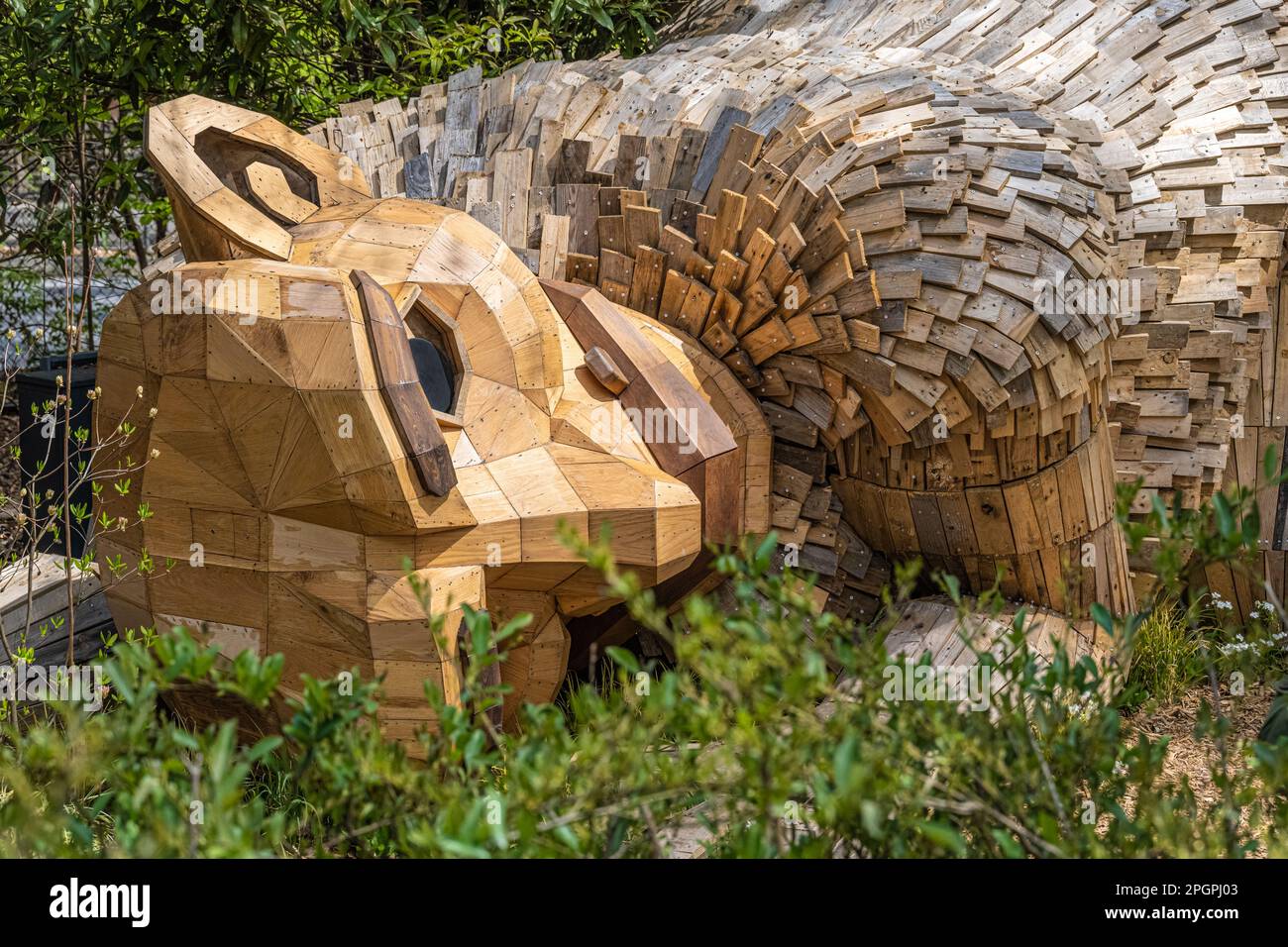 Reclining giant wooden troll sculpture by Danish artist Thomas Dambo at the Atlanta Botanical Garden in Atlanta, Georgia. (USA) Stock Photo
