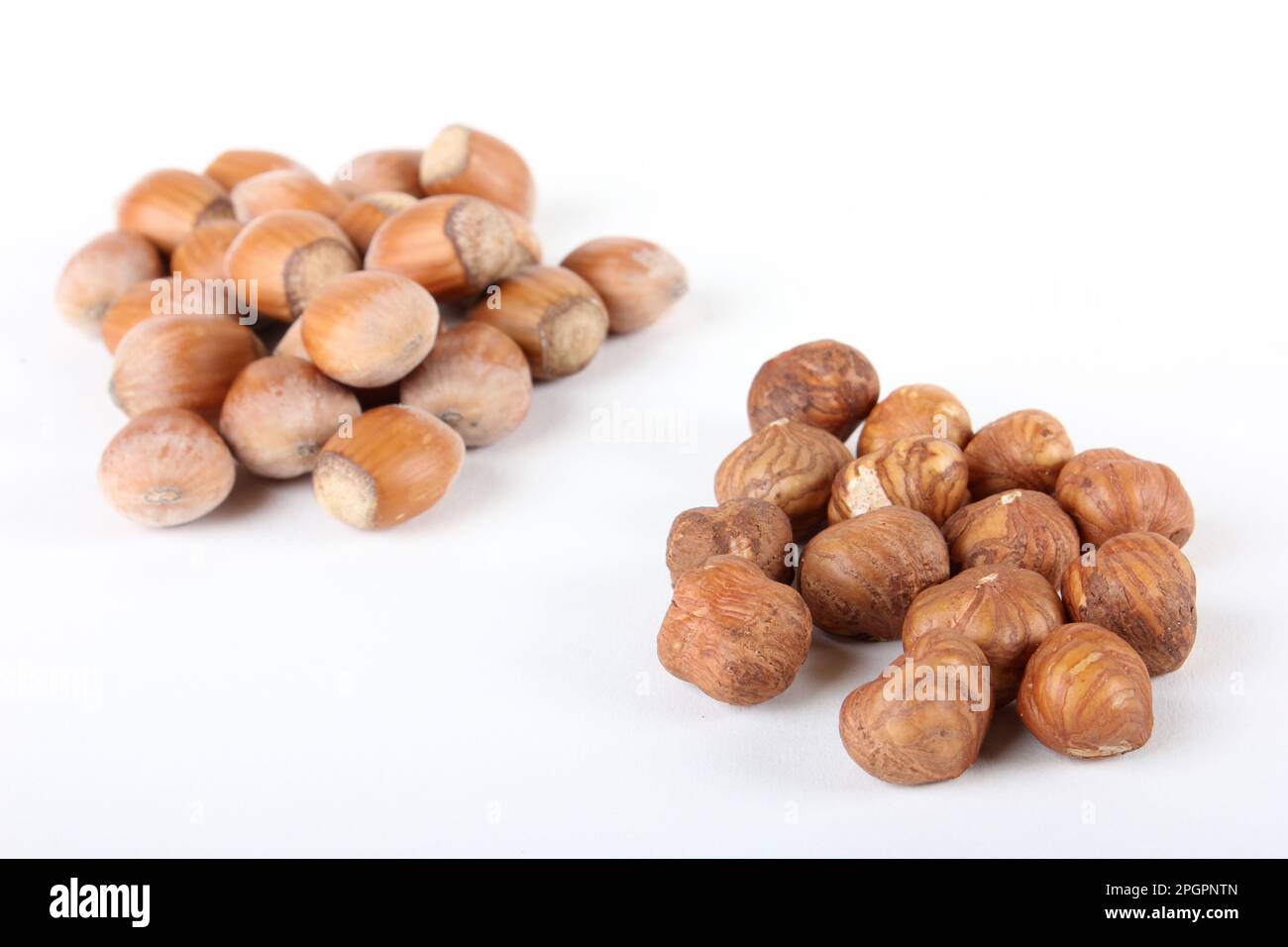 Hazelnuts, with shell and peeled Stock Photo Alamy