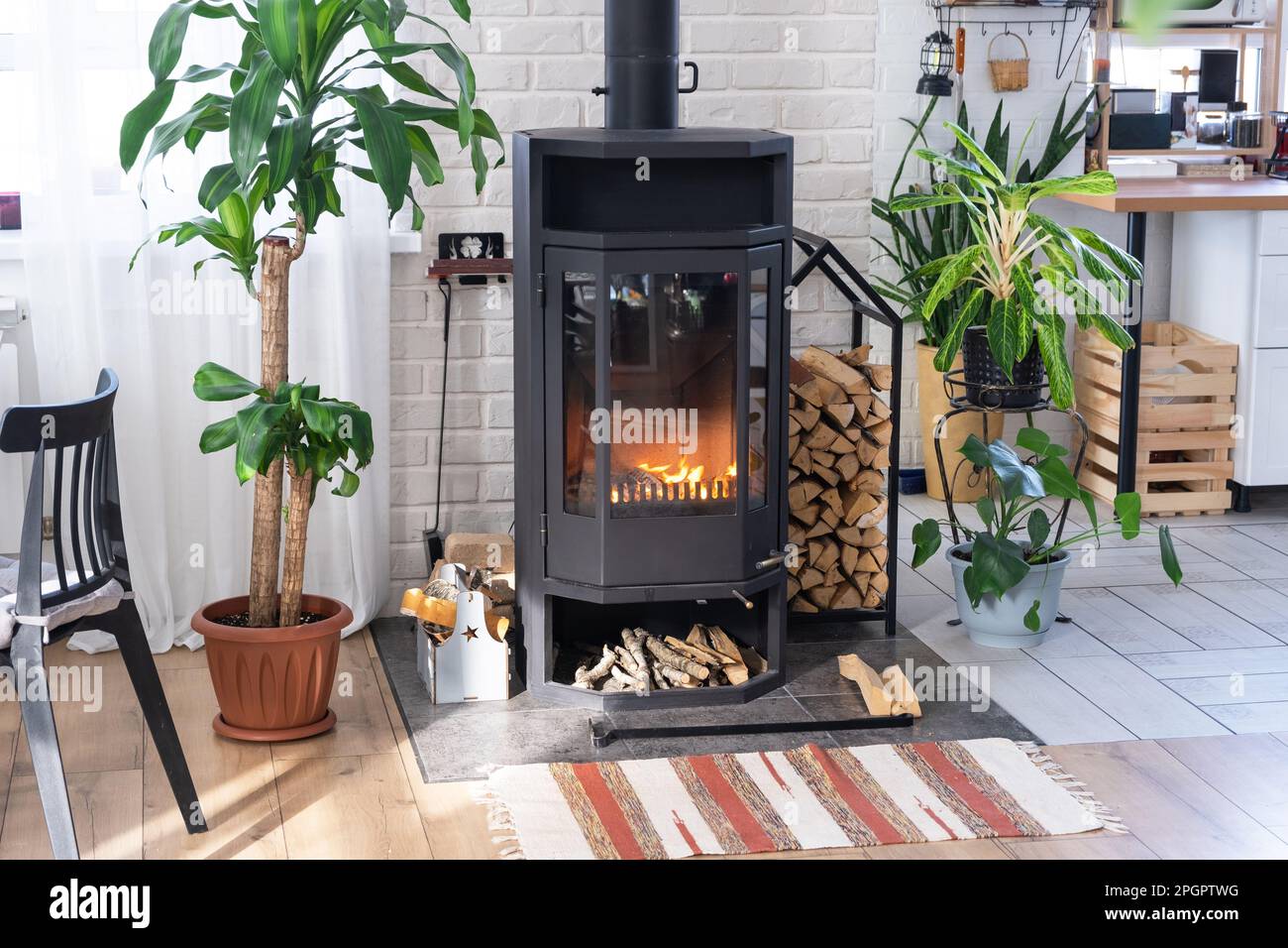 Black Metal Steel fireplace stove with fire and firewood in green home