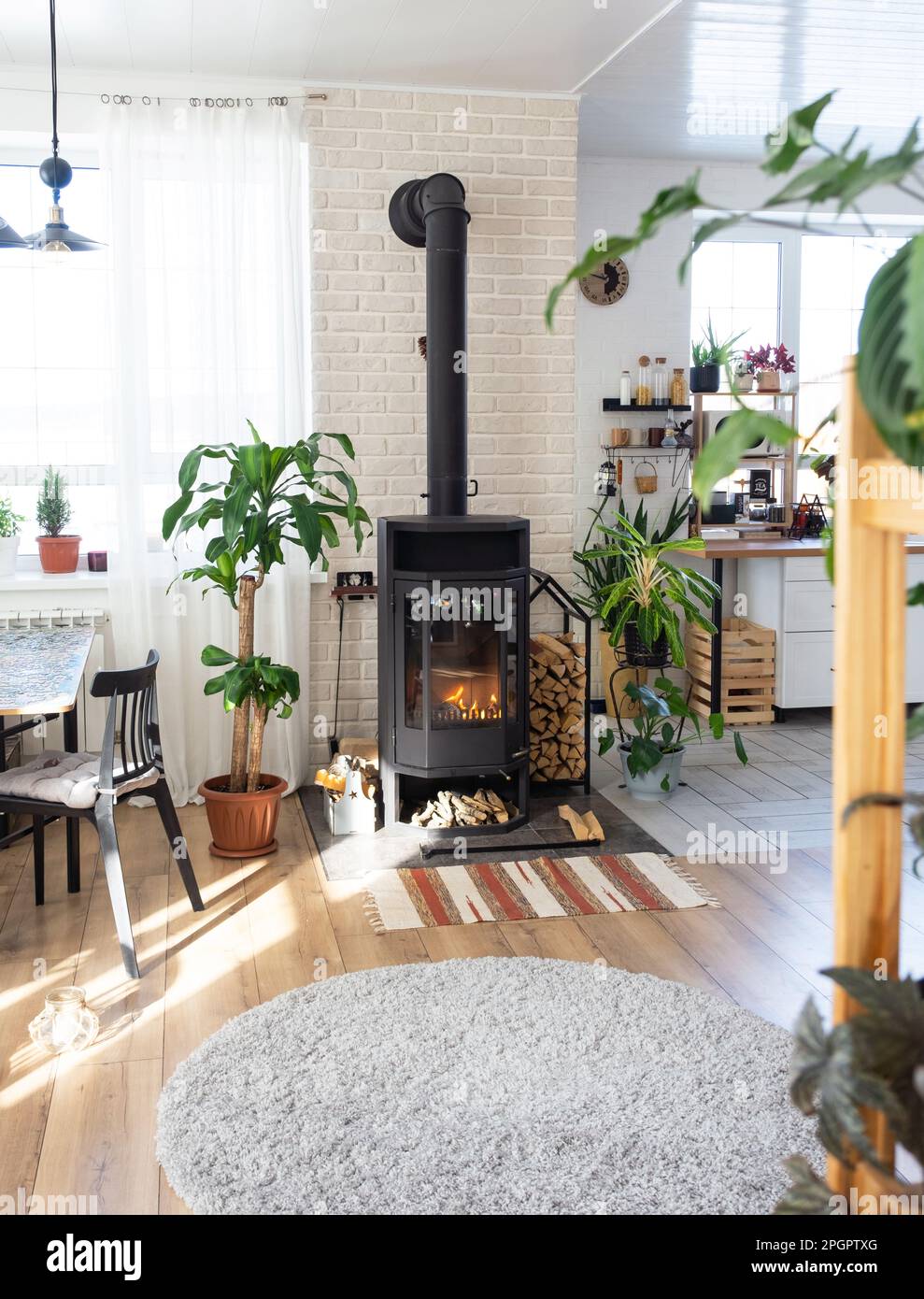 Black Metal Steel fireplace stove with fire and firewood in green home