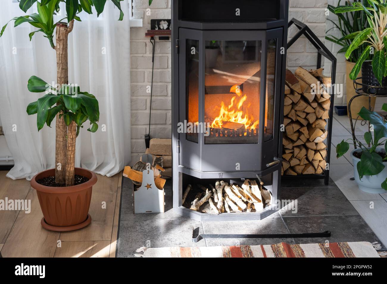 Black Metal Steel fireplace stove with fire and firewood in green home