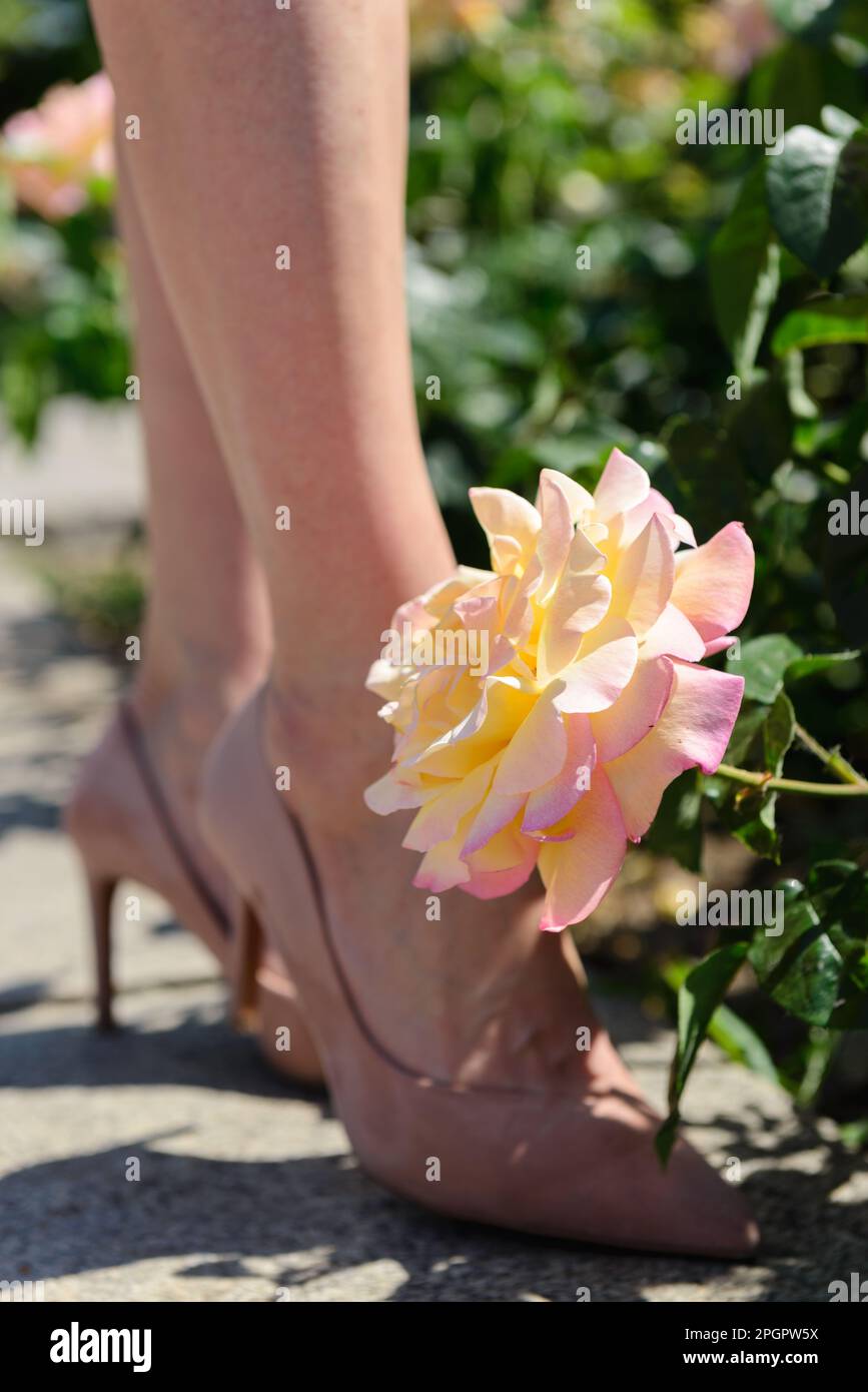 High heels close up online