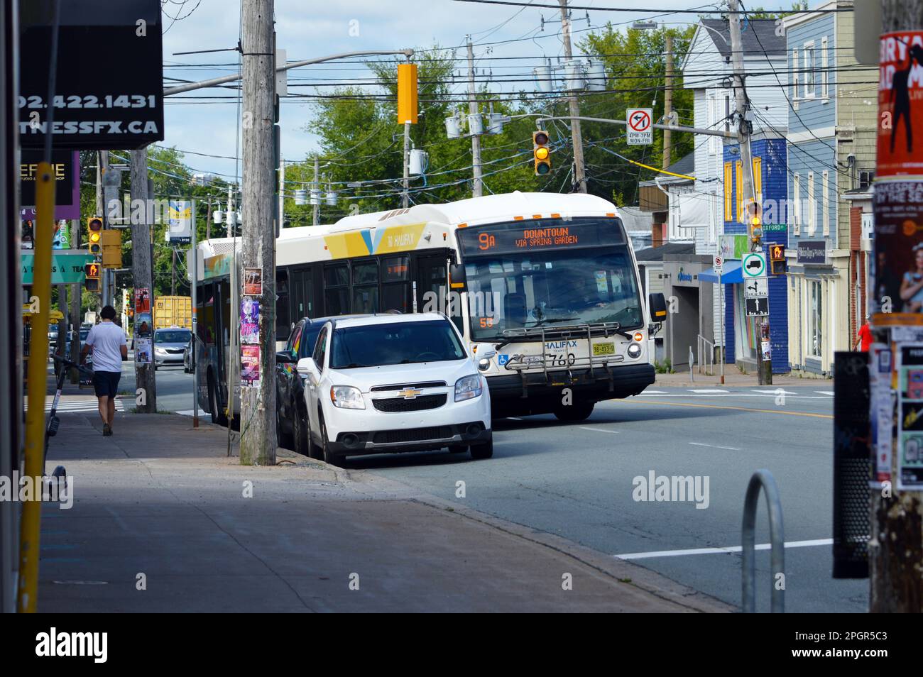 Halifax Transit route 9A bus on Quinpool Road in Halifax, Nova Scotia, Canada Stock Photo Alamy