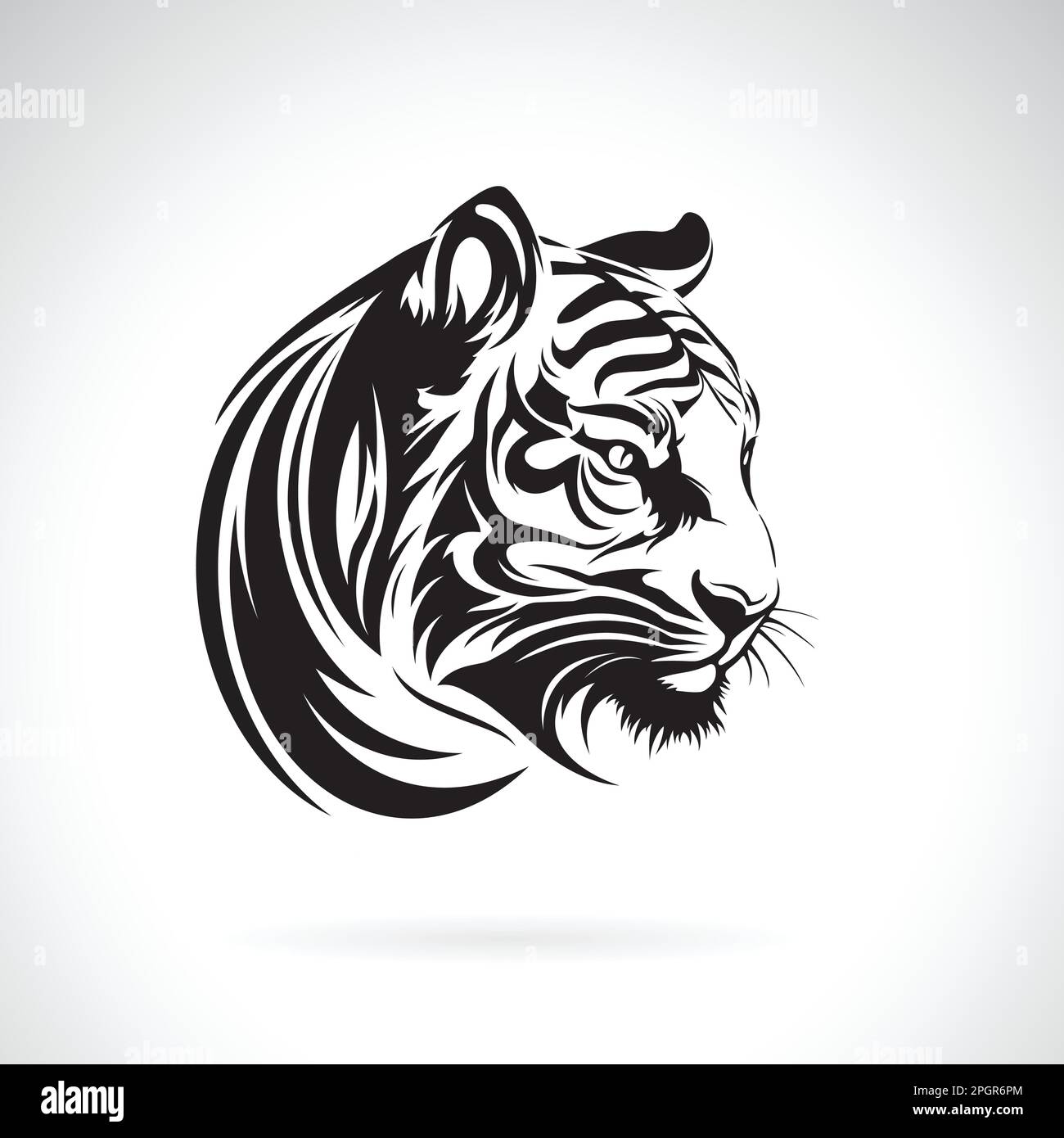 Vector of tiger head design on white background. Easy editable layered