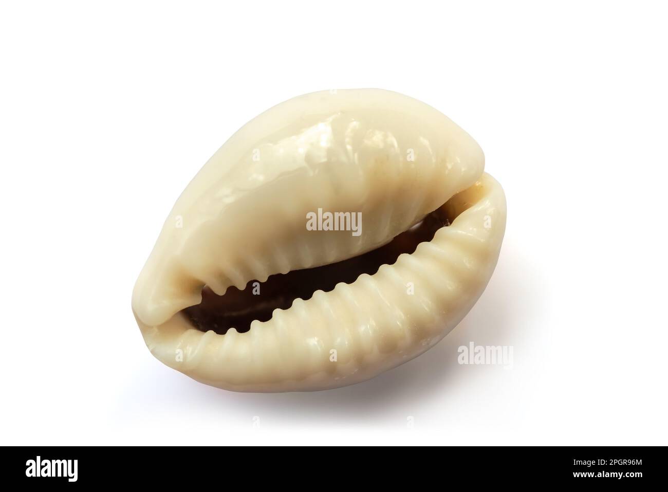 Cowrie shell money hi-res stock photography and images - Alamy
