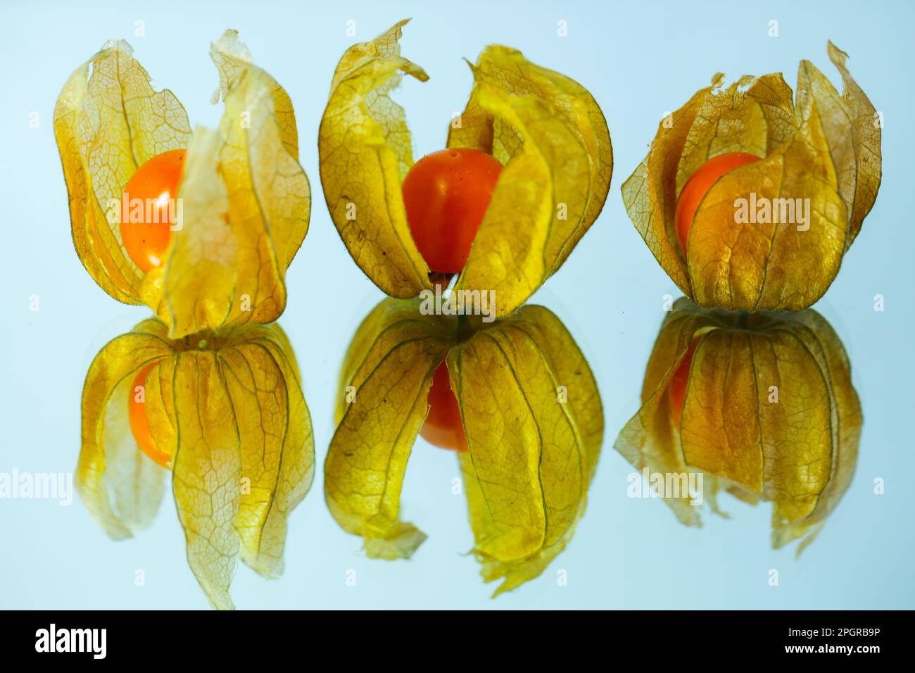 physallis on a mirrow Stock Photo