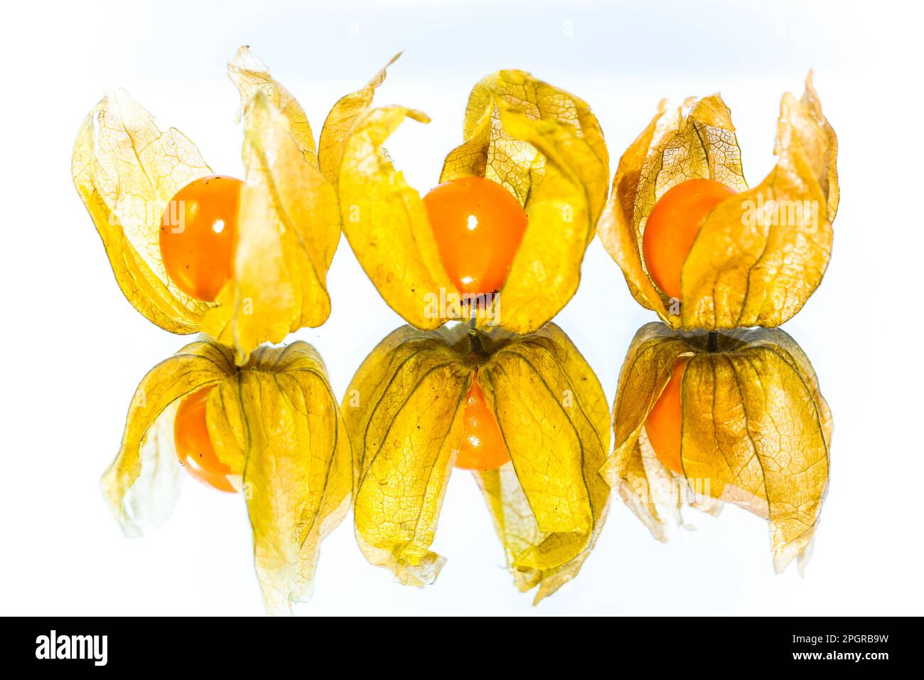 physallis on a mirrow Stock Photo