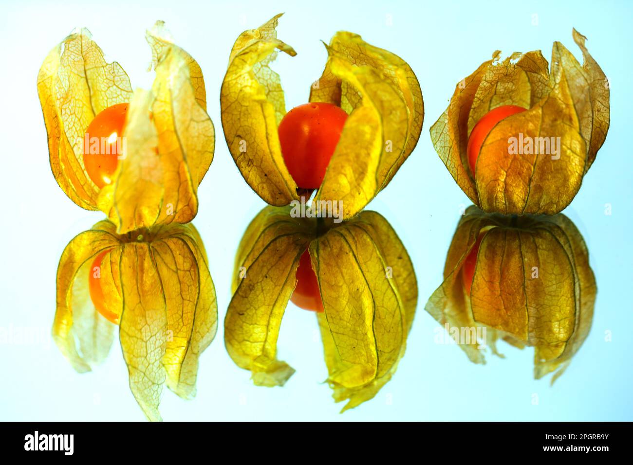 physallis on a mirrow Stock Photo