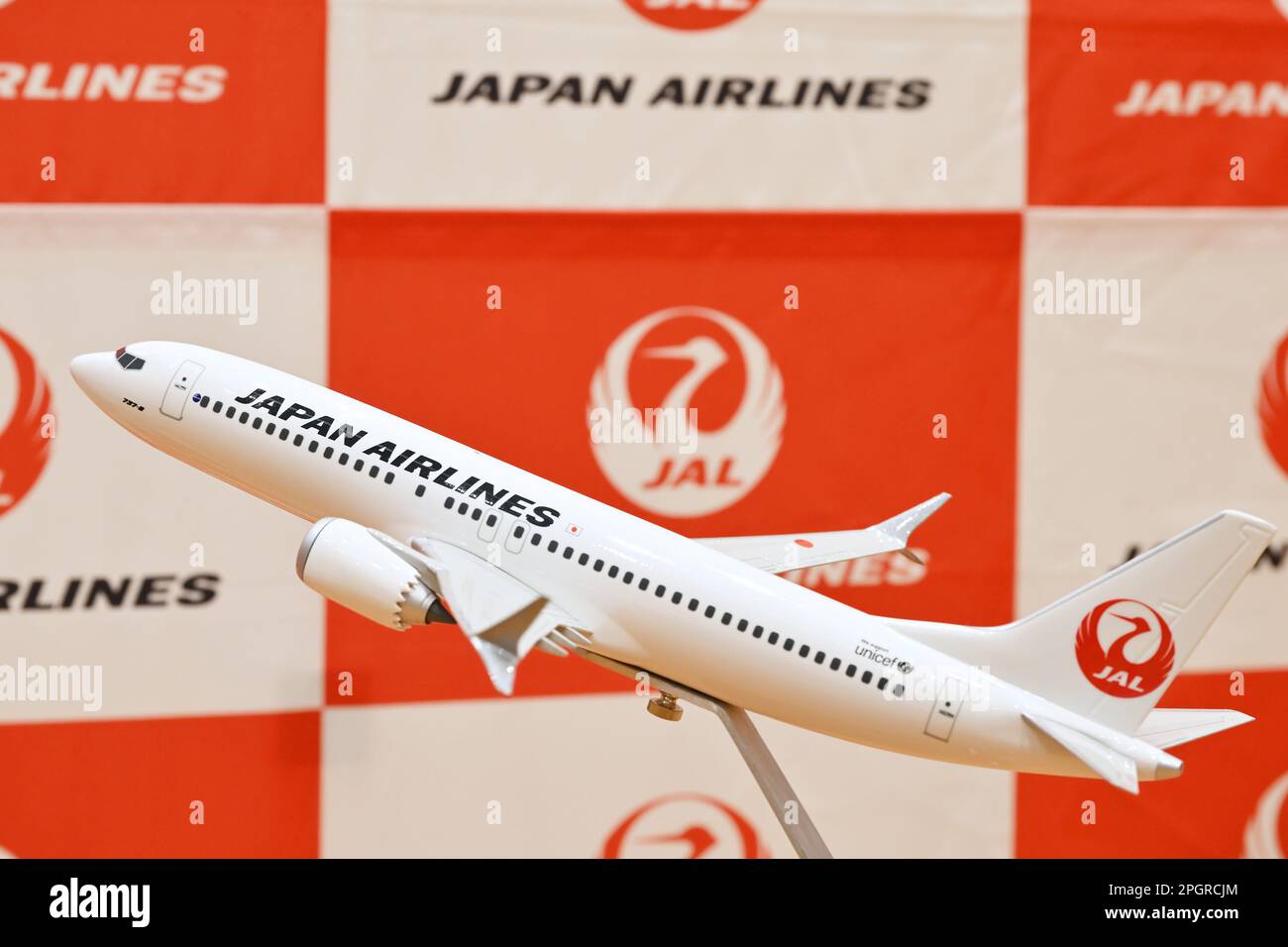 Model plane of JAL
