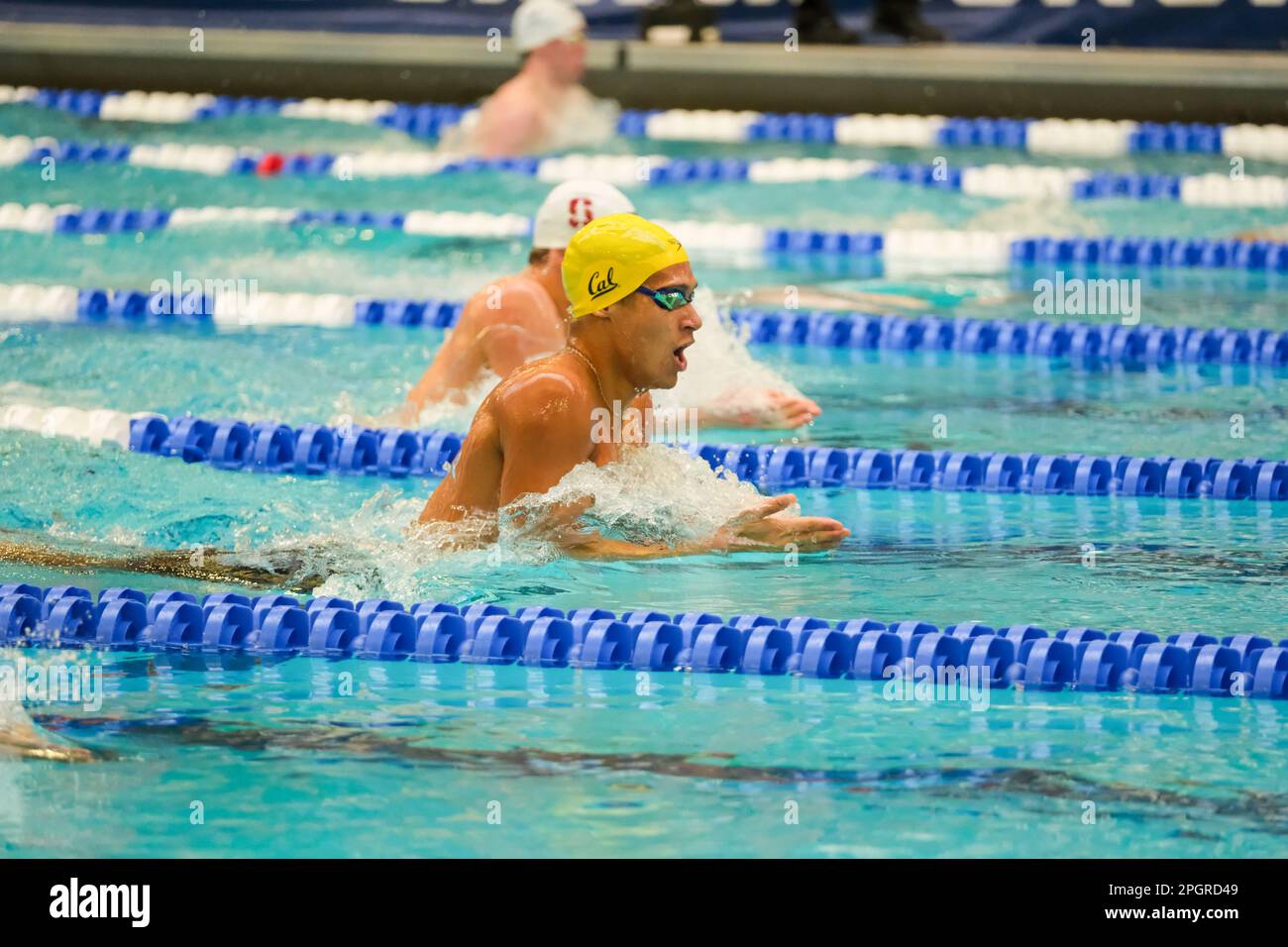 200 yard breaststroke hi-res stock photography and images - Alamy