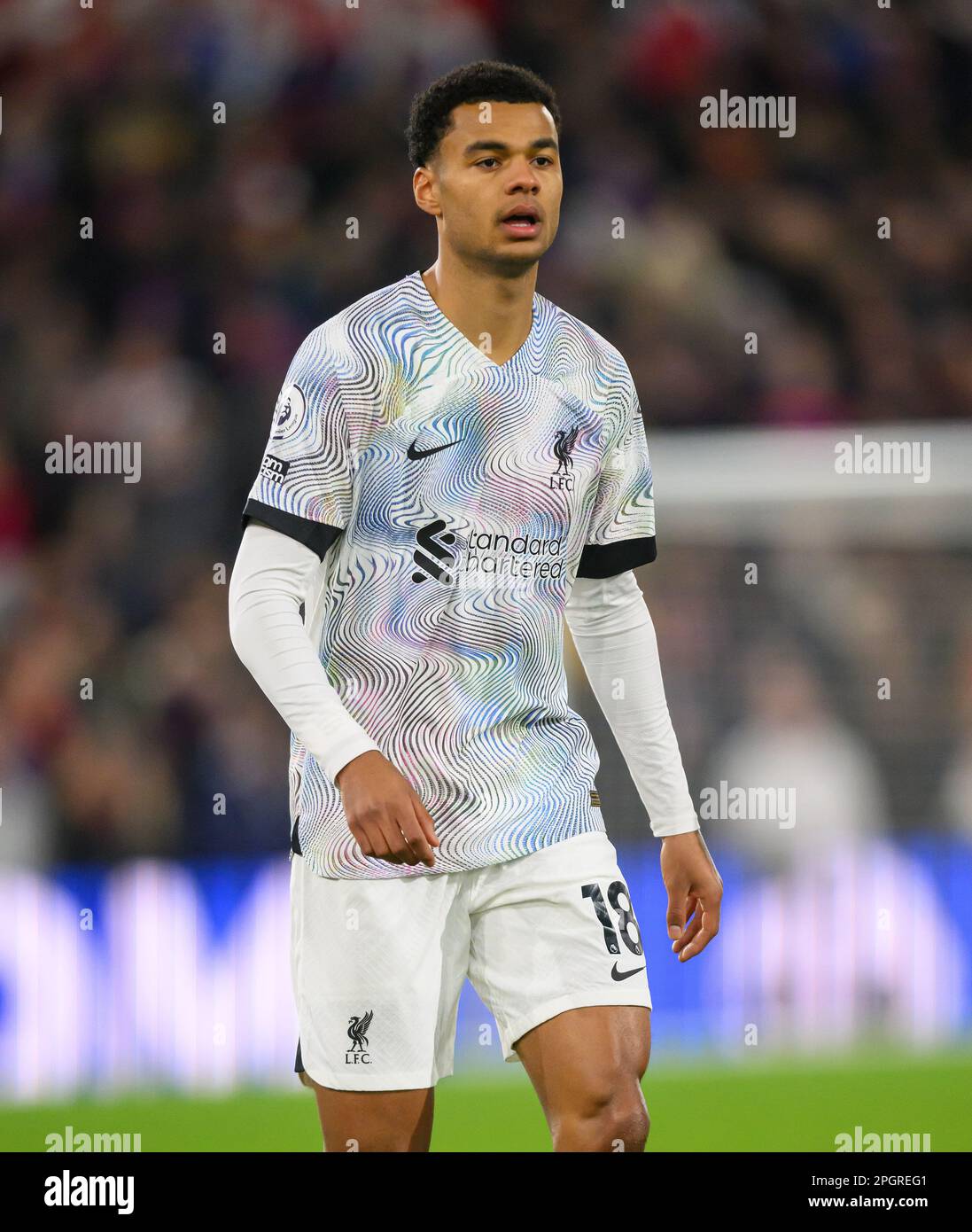 London, UK. 25th Feb, 2023. 25 Feb 2023 - Crystal Palace v Liverpool - Premier League - Selhurst Park Liverpool's Cody Gakpo during the Premier League match against Crystal Palace. Picture Credit: Mark Pain/Alamy Live News Stock Photo
