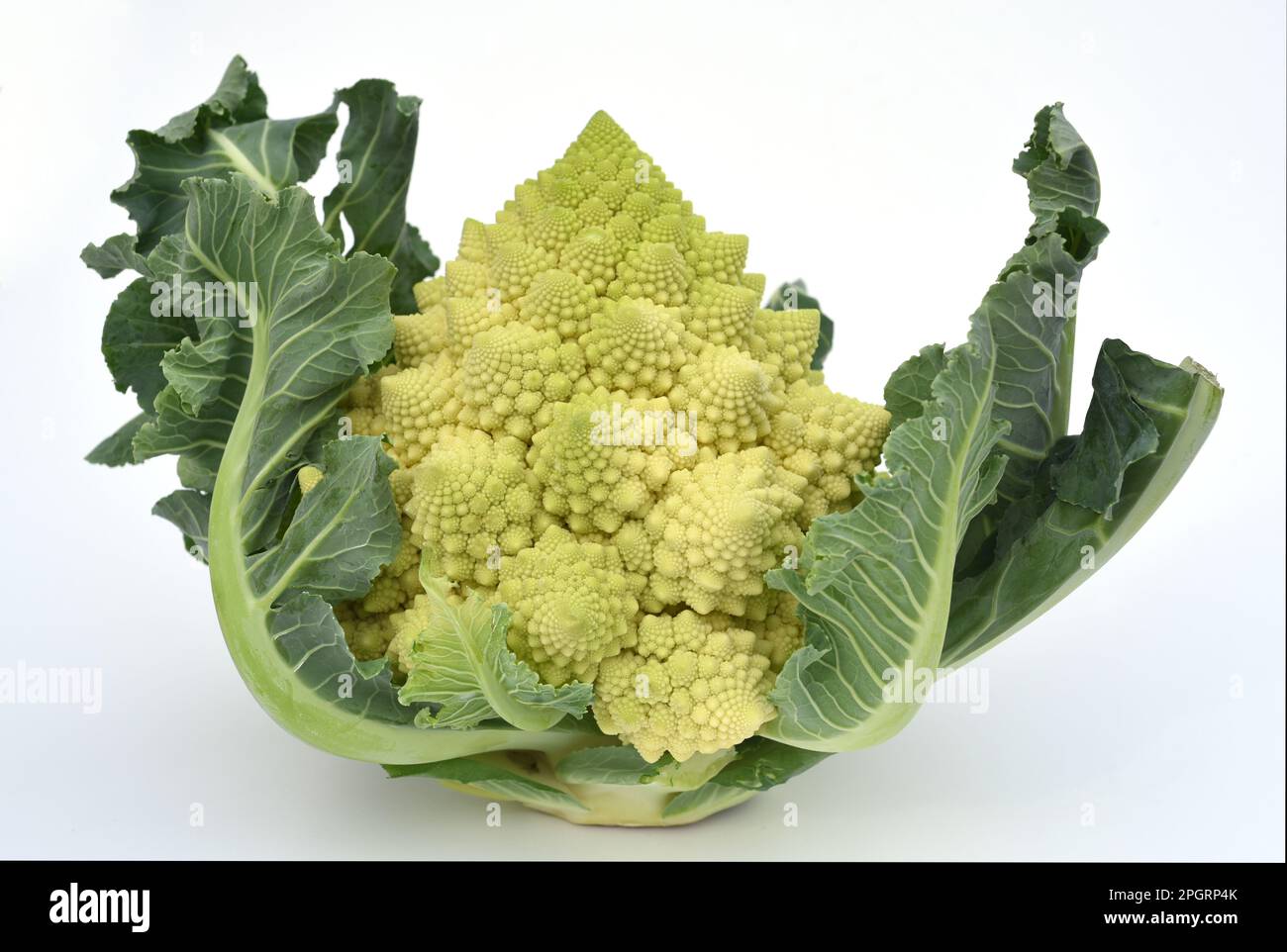 Romanesco, Brokkoli hat große grune Blueten mit hervorragendem Geschmack und dekorativem Aussehen. Romanesco, broccoli has large green flowers with an Stock Photo
