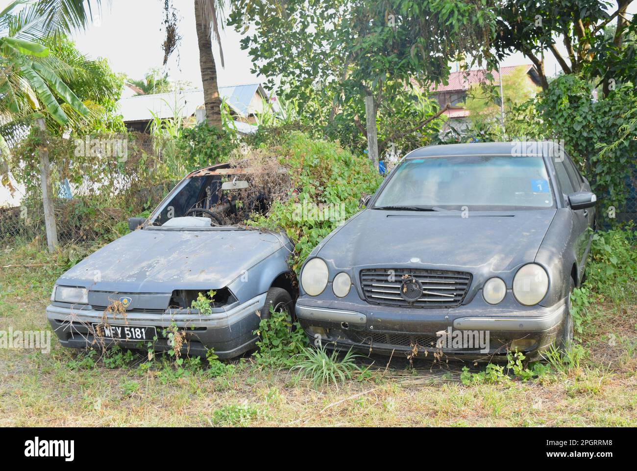 Abandoned cars with vegetation growing through on Langkawi island Malaysia Stock Photo Alamy