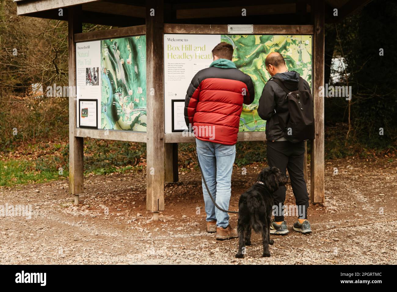 2 people walking a dog viewing National Trust visitor notice board at Box Hill, Surrey Hills