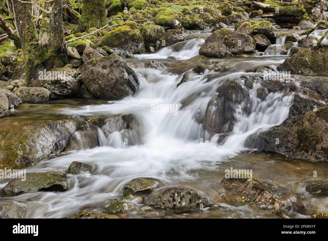 Combe Gill, Borrowdale, Lake District, Cumbria, UK Stock Photo