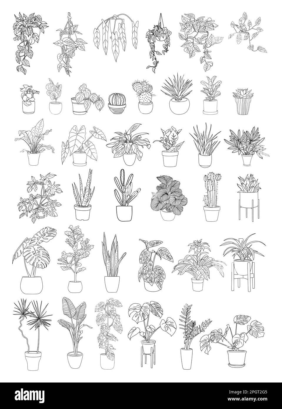 Big collection of House plants outline drawings Stock Vector Image ...