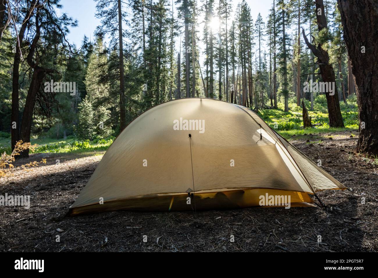 Tent Set Up in Backcountry of Kings Canyon Natioal Park Stock Photo
