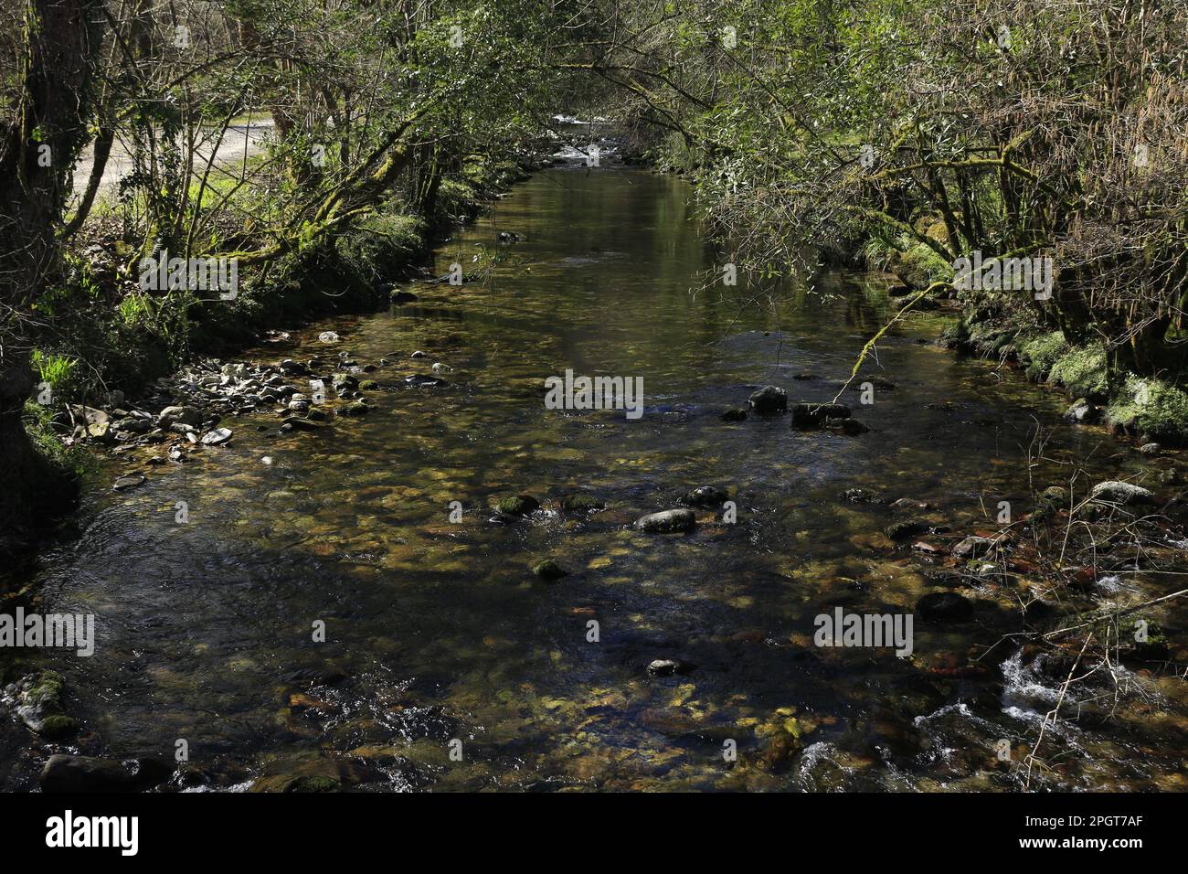Purón river in Asturias Stock Photo